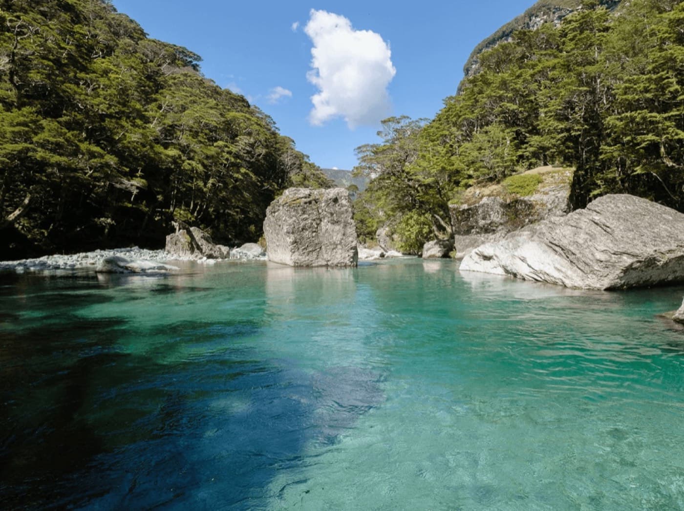 Te Waihou Blue Spring in Waikato visited on a Classic Car Tours day trip