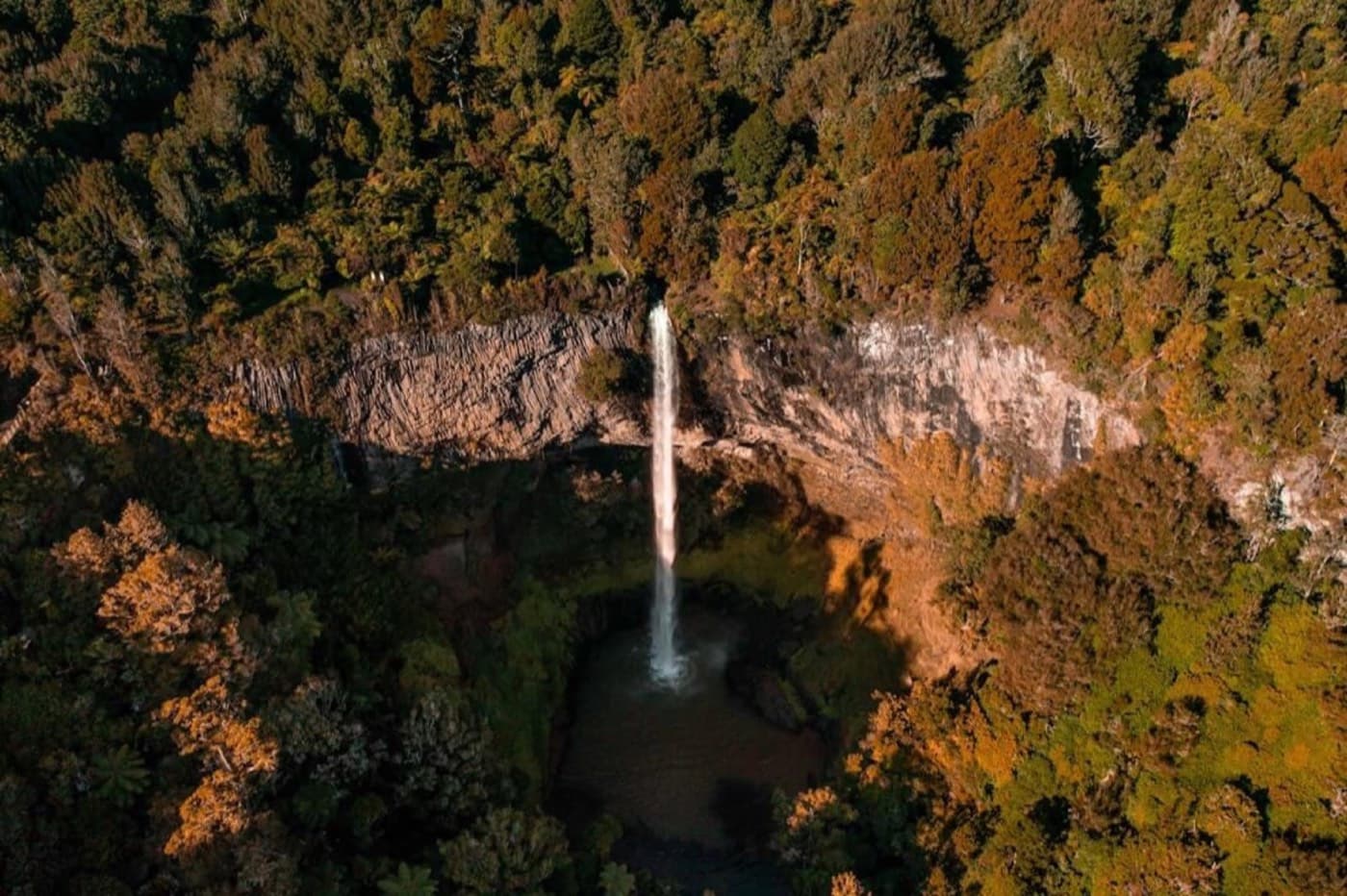 Bridal Veil Falls near Raglan, a 55 metre waterfall on the Pakoka River