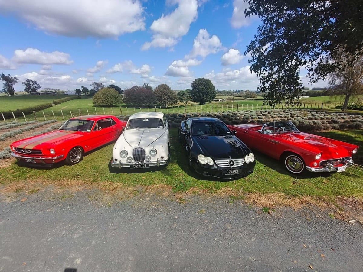 Collection of classic and luxury touring vehicles available at Classic Car Tours Waikato