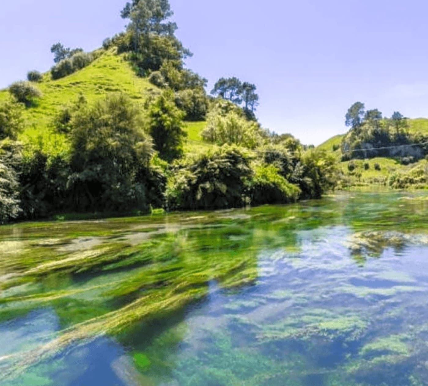 Hobbiton Movie Set tour with Okoroire Hot Springs experience