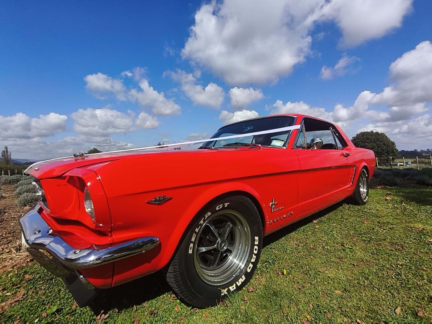 1964½ Ford Mustang available for hire in the Waikato