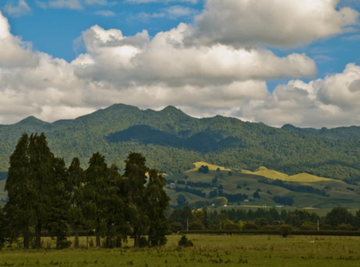 Scenic tour to Mount Pirongia, Bridal Veil Falls and Ngarunui Beach in Raglan