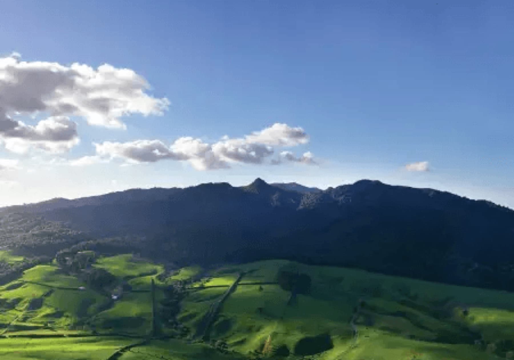 Multi-day classic car touring between the Waikato and Rotorua