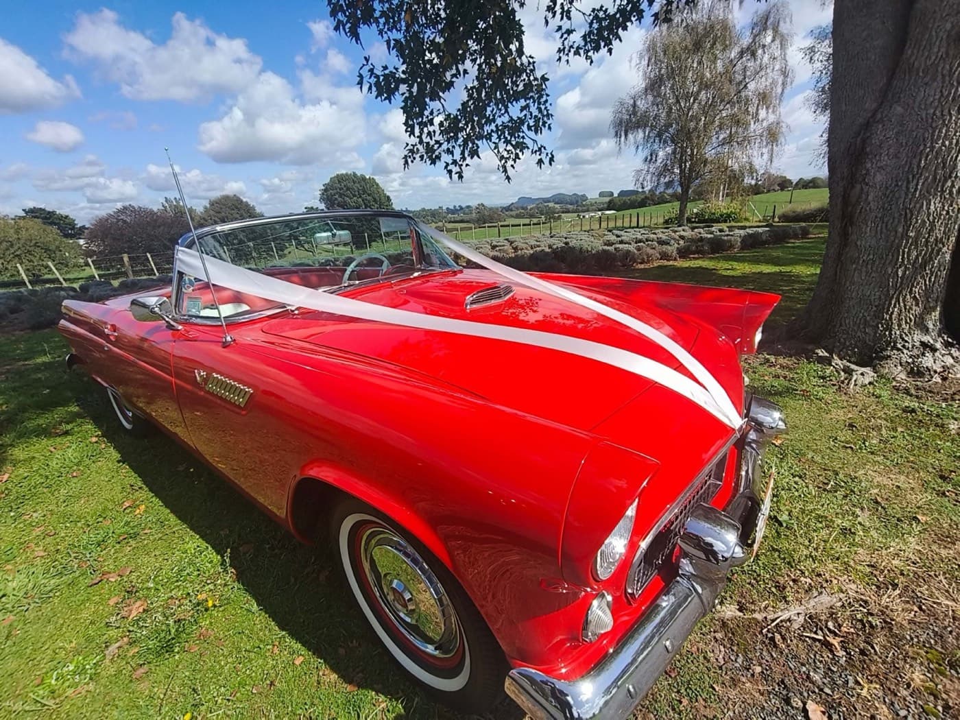 Classic wedding car hire for Cambridge weddings in the Waikato