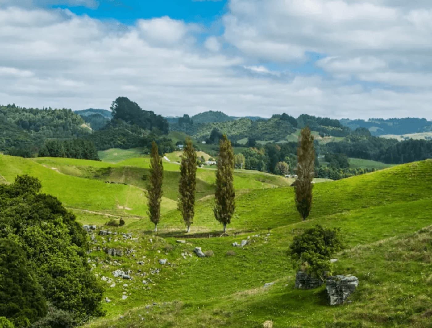 Waitomo Valley scenic tour visiting Mangapohue Natural Bridge and Marokopa Falls